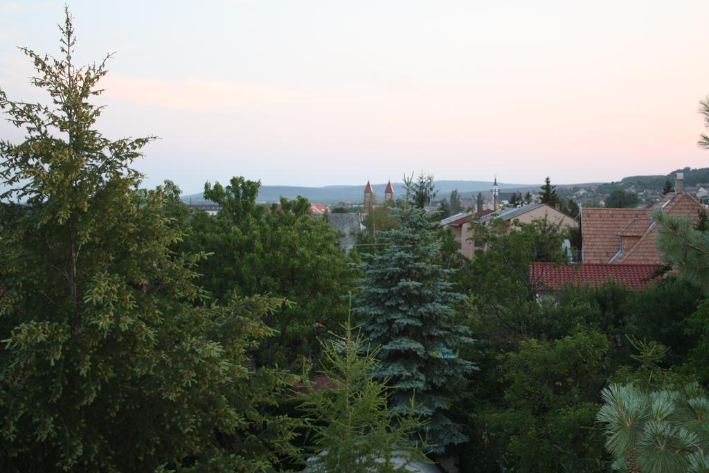 Barcza Vendeghaz Hotel Balatonfüred Eksteriør billede