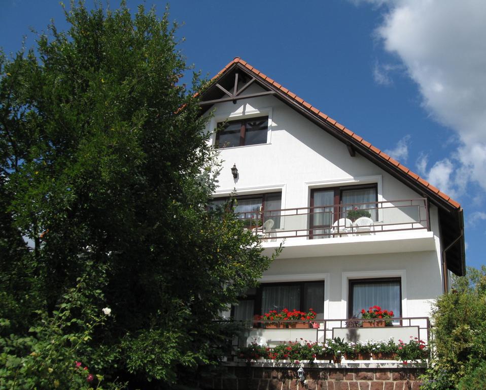 Barcza Vendeghaz Hotel Balatonfüred Eksteriør billede